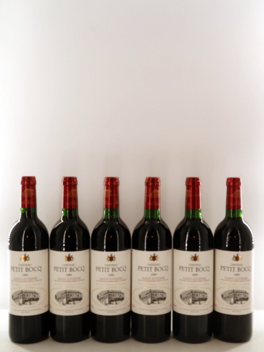 1995 Chateau Petit Bocq St. Estephe