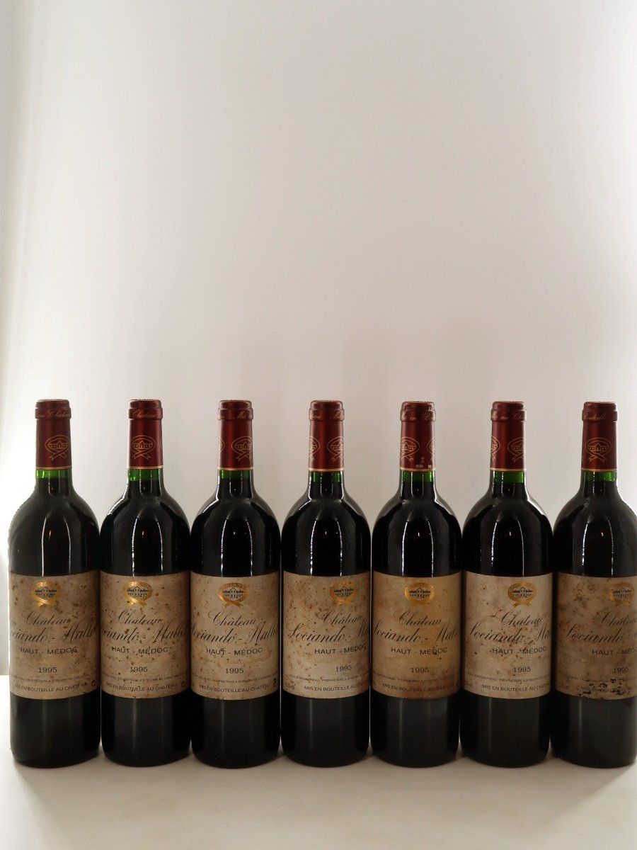 1995 Chateau Sociando Mallet Haut Medoc