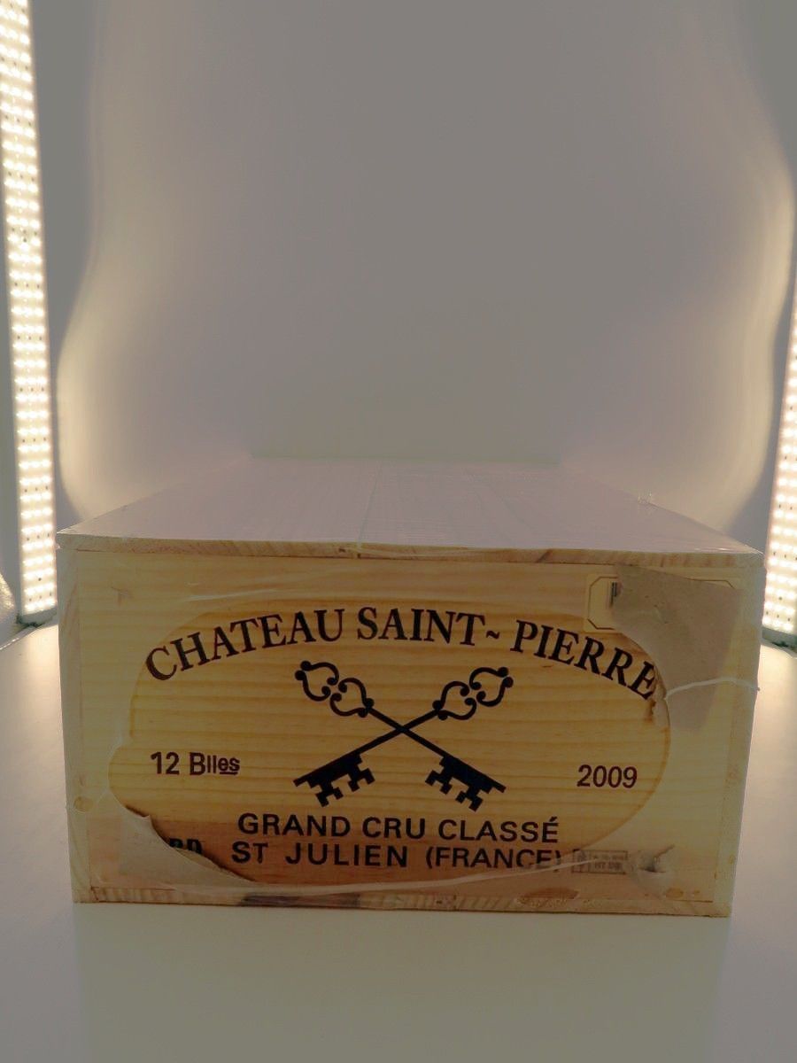 2009 Chateau Saint Pierre St. Julien