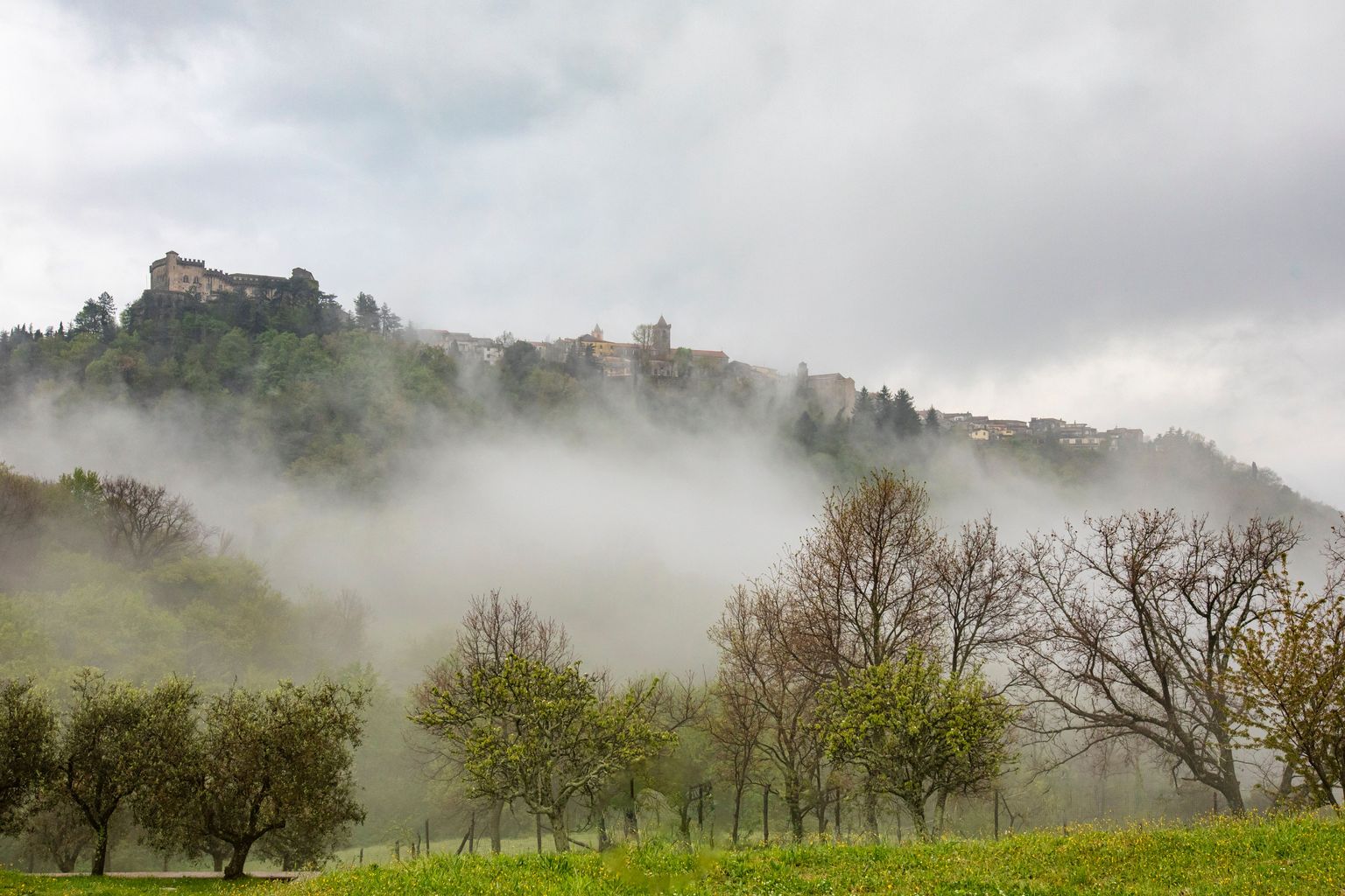 Nebel umhüllt sanfte Hügel mit altem Schloss und grünen Olivenbäumen.
