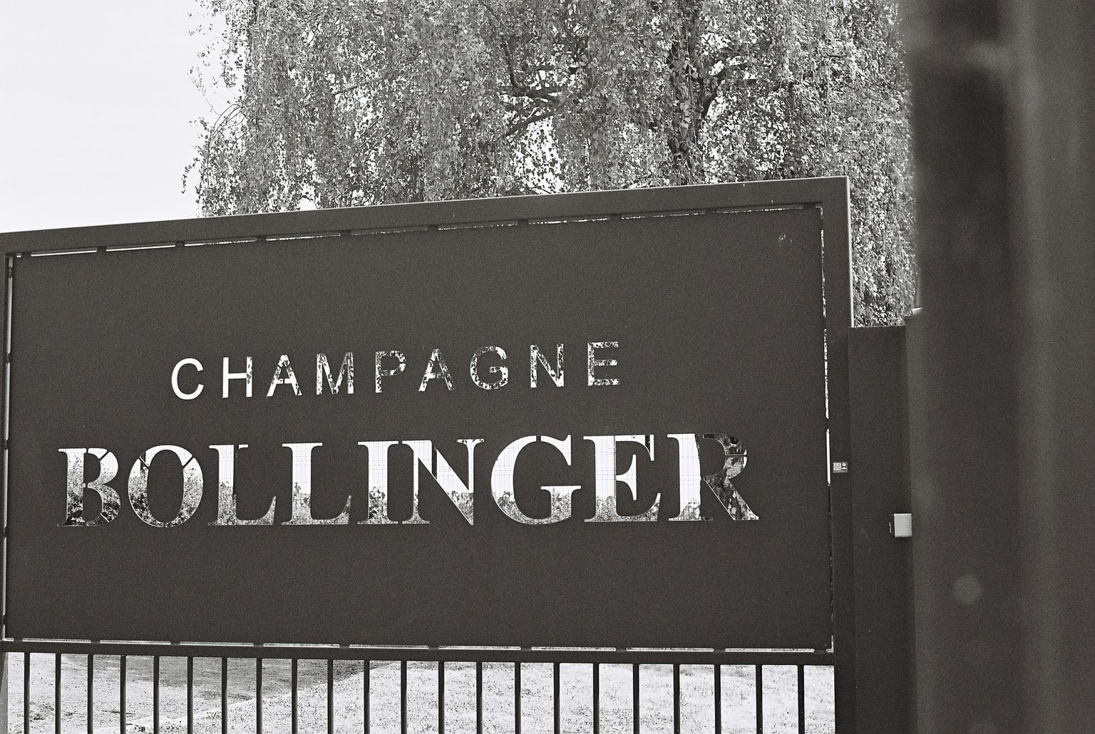 Schwarze Schilder mit der Aufschrift „Champagne Bollinger“ vor Hintergrund.
