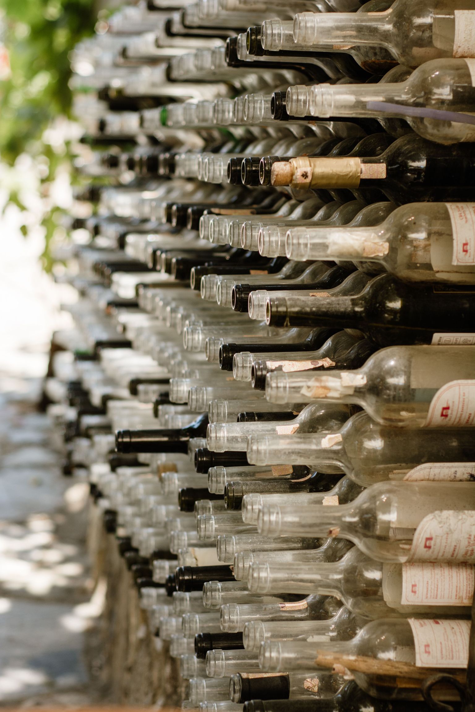 Großer Weinlager-Bereich mit vielen horizontal gelagerten Flaschen in Regalen.