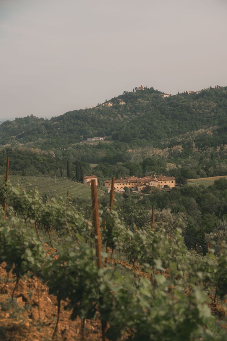 Weinberg mit Hügelblick und historischem Landhaus in malerischer Toskana-Landschaft.